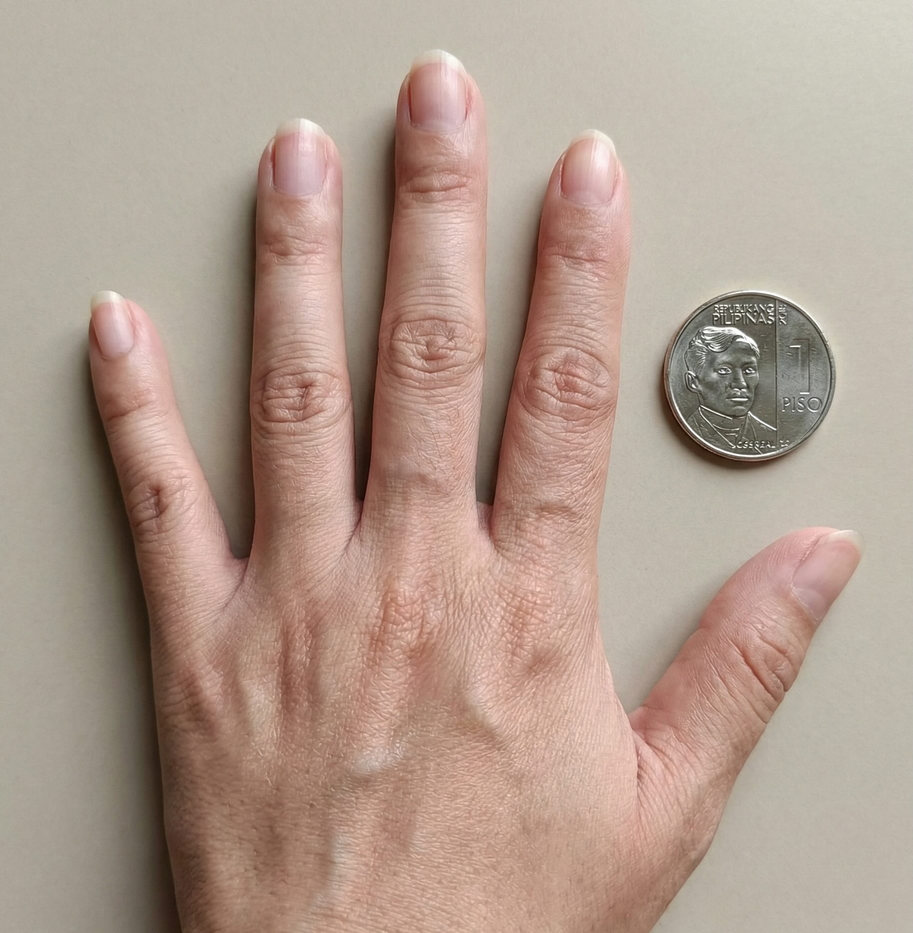 Reference: hand flat on surface with P1 coin for scale